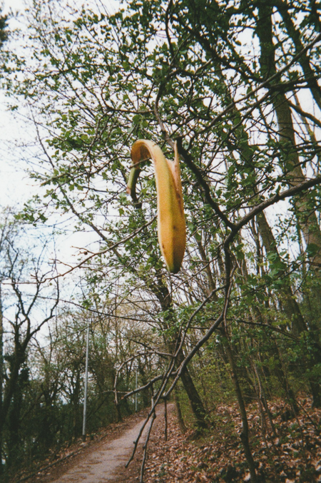 banana